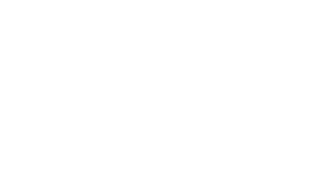 Robi Dent